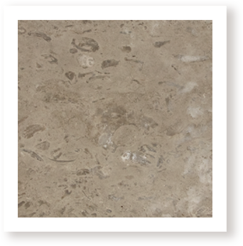 Limestone sample - Seashore